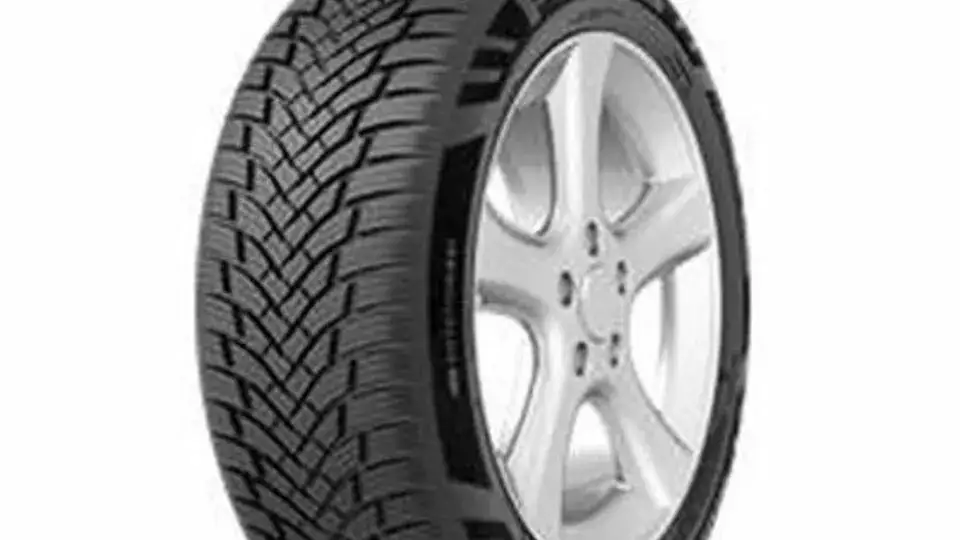 Petlas Reifen: Top Modelle, Preise und echte Erfahrungen im Vergleich