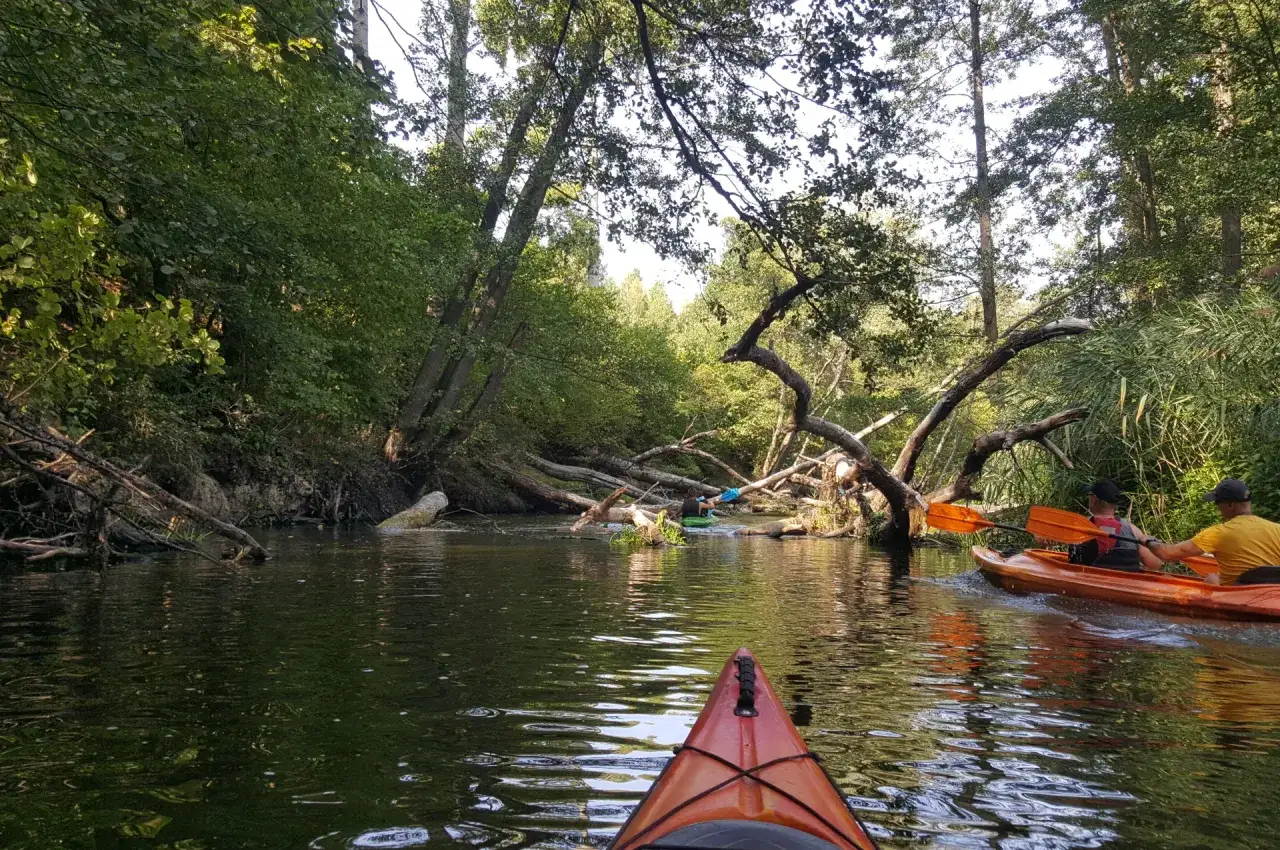 Spływ kajakowy Obra: odkryj najpiękniejsze trasy i atrakcje