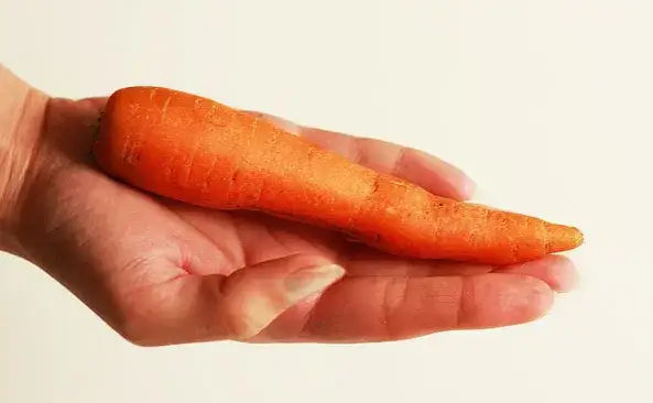 Ile kcal ma marchewka? Poznaj wartość energetyczną i korzyści