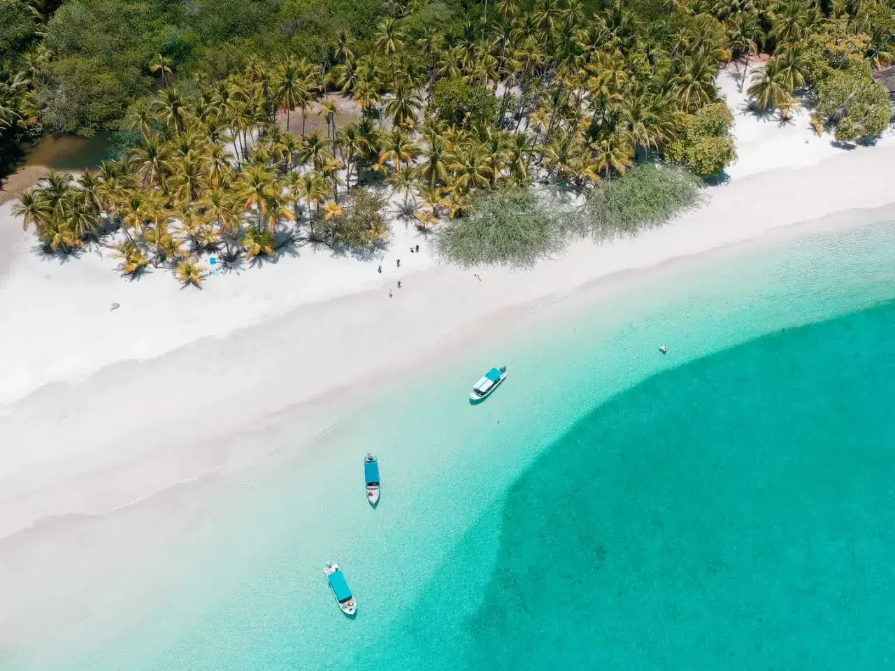 Panamá: Tu guía completa para un viaje inolvidable ¿Listo para explorar?