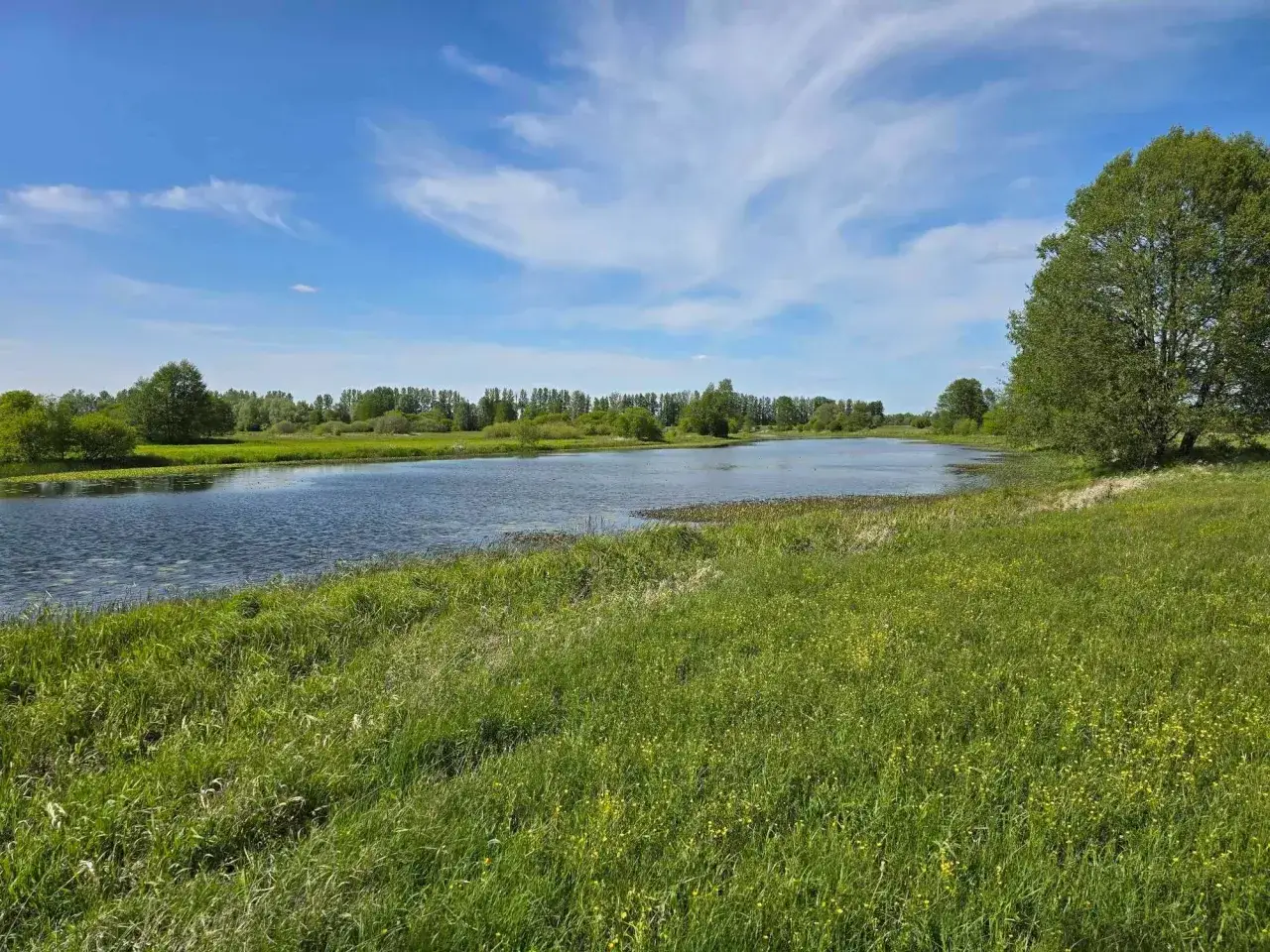 Działka nad jeziorem Mazowieckie - idealne miejsce na inwestycję lub wypoczynek