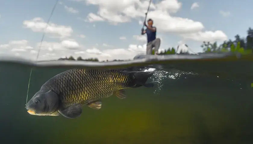 Wędka castingowa do czego służy? Odkryj jej zalety i zastosowania