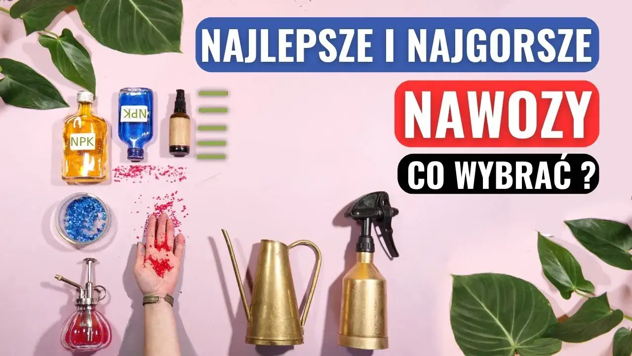 Jaki nawóz do roślin o kolorowych liściach zapewni ich zdrowie i blask?