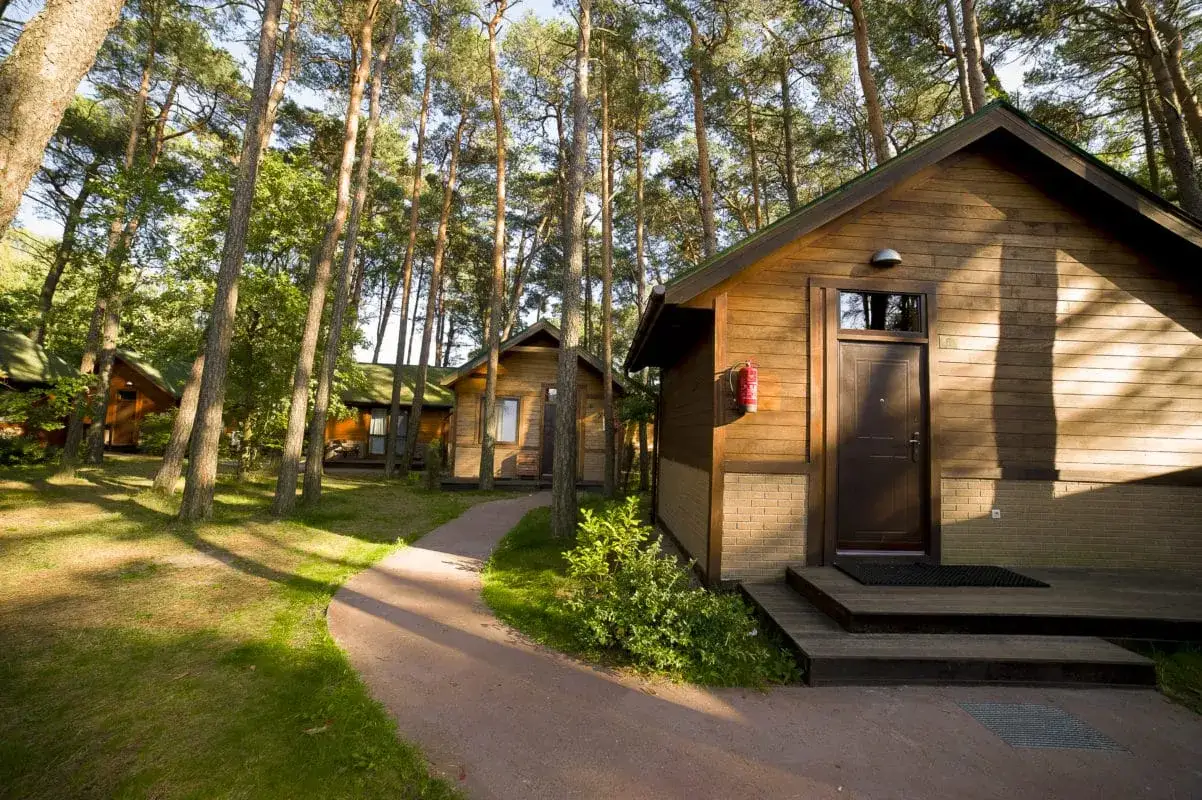 Drewniane domki letniskowe w lesie, z ścieżką prowadzącą do drzwi.