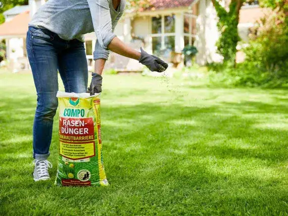 Jak pozbyć się chwastów płonących na trawniku? Praktyczne porady