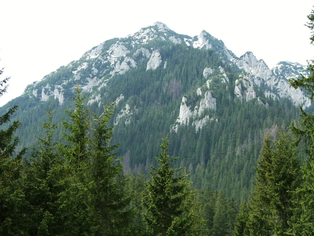 Kominiarski Wierch: Szlak zamknięty? Legalne alternatywy i widoki