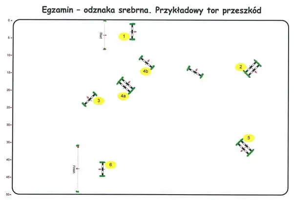 Srebrna odznaka jeździecka skoki – jak uniknąć najczęstszych błędów?