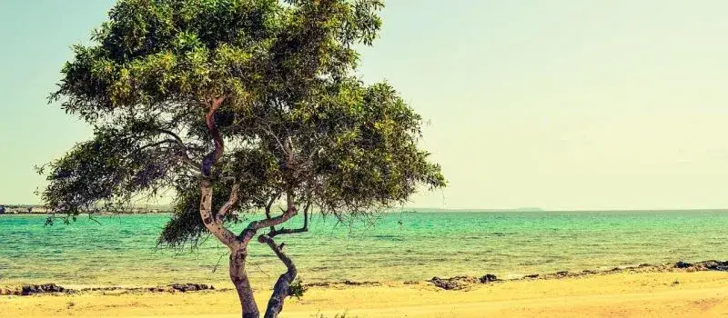 Ile dokładnie trwa lot z Krakowa na Cypr? Sprawdź czynniki wpływające na czas podróży