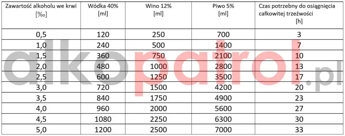 Jedno piwo i kierownica? Sprawdź, ile promili i co grozi!