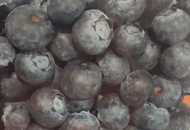 Borówki: Ile kalorii? Czy to sekret diety i długowieczności?