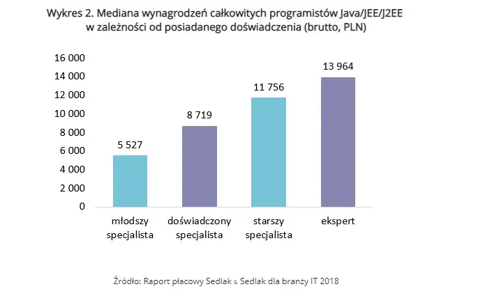 Ile zarabia informatyk po studiach? Zaskakujące fakty o wynagrodzeniach