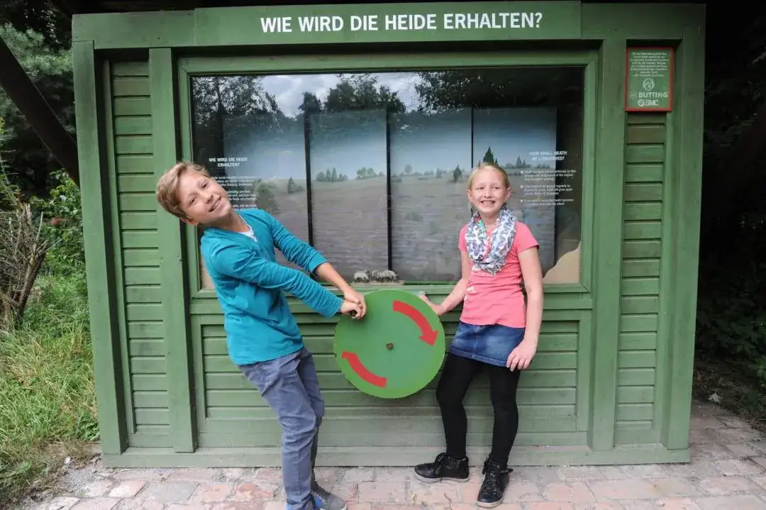 Lüneburger Heide: Attraktionen für jeden Geschmack | Tipps & Infos