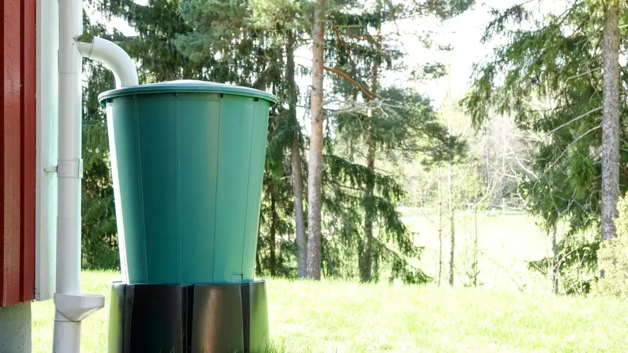 Zielony zbiornik na deszczówkę podłączony do rynny, stojący na trawie, w tle drzewa.