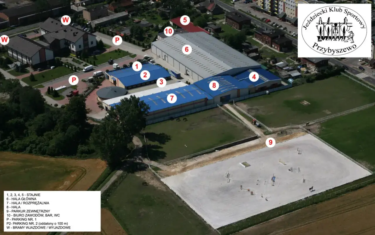 Stadnina Koni Leszno: Jak wybrać? Ceny, usługi Twój przewodnik