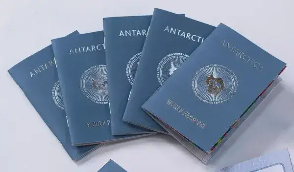 Ile się czeka na paszport? Sprawdź czas, koszty i status online