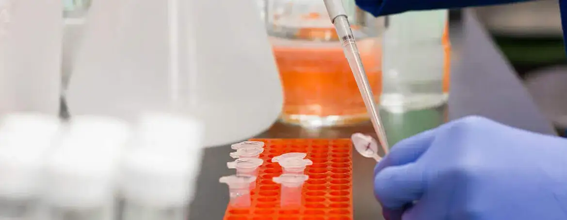 Czy książeczka sanepidowska jest na całe życie czy trzeba ją odnawiać?