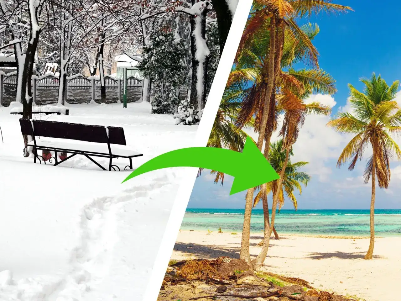 Podziałka: zimowy park ze śniegiem i ławką po lewej, tropikalna plaża z palmami po prawej. Zielona strzałka.