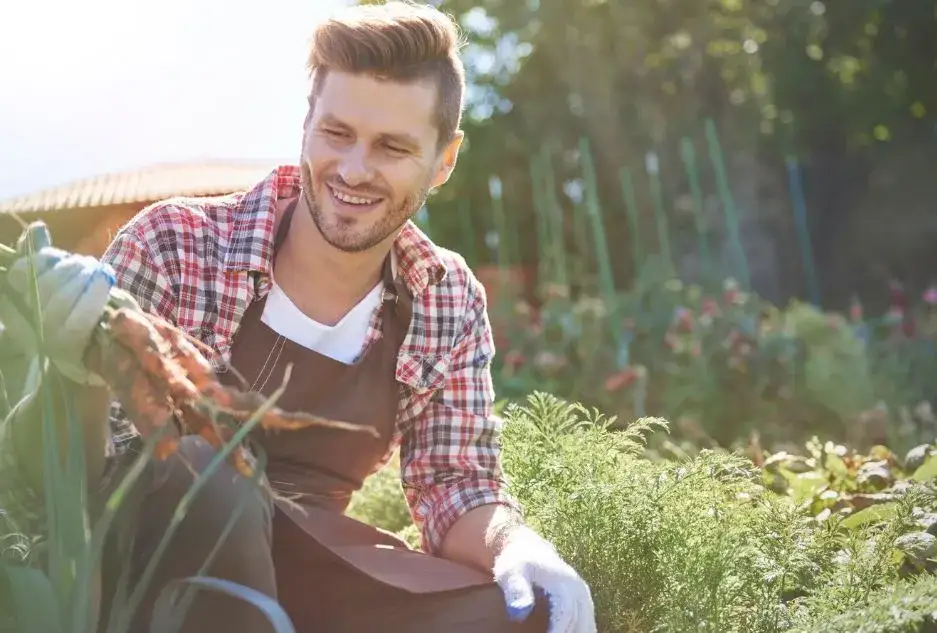 Kto może kupić działkę rolną? Sprawdź, jakie są warunki zakupu