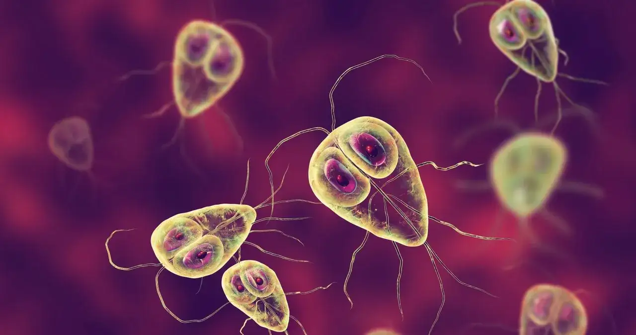 Lamblia objawy psychiczne: jak zakażenie wpływa na zdrowie emocjonalne