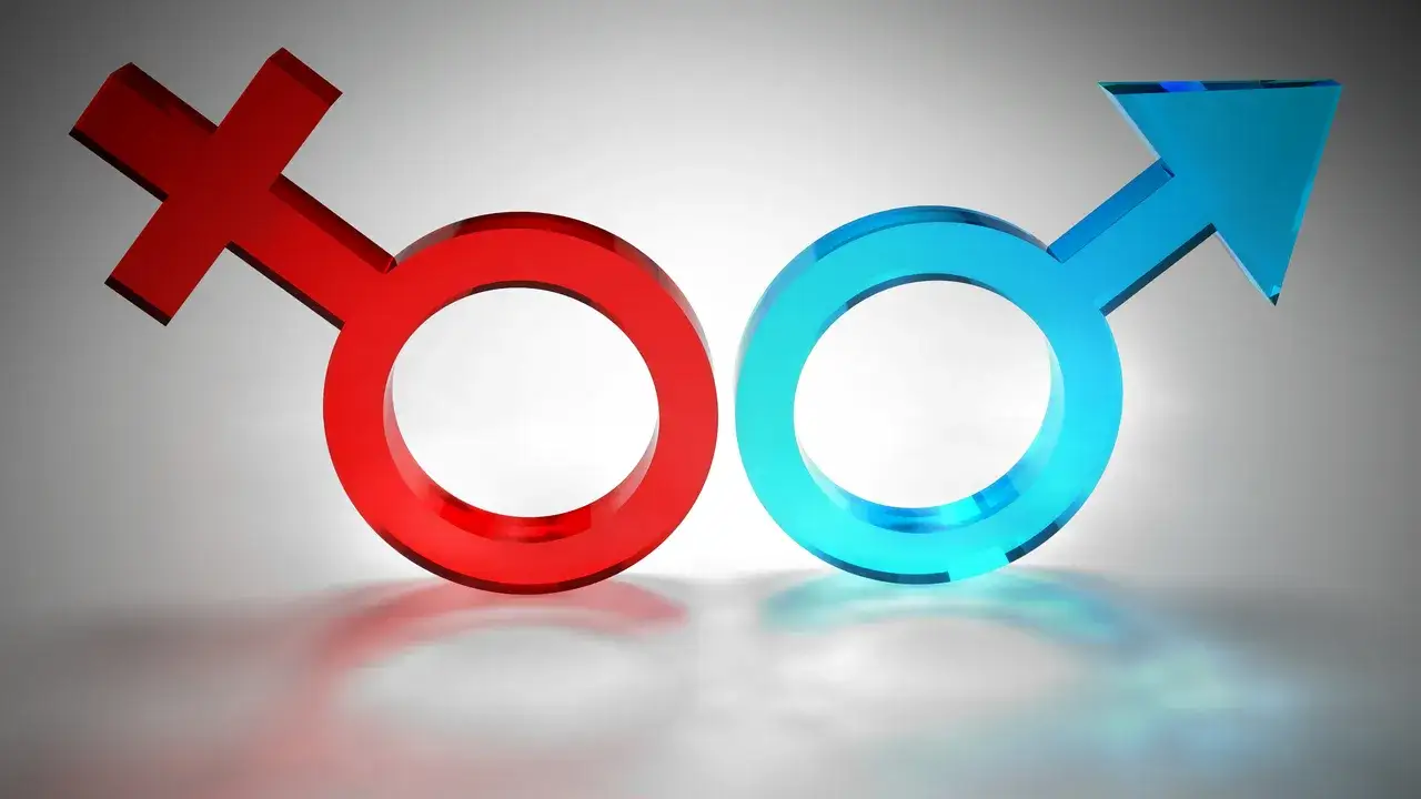 Ordo iuris co to znaczy po polsku i jego wpływ na społeczeństwo