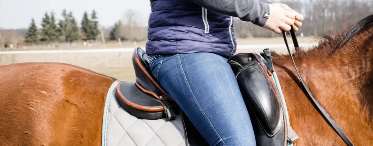 Reiten lernen: So vermeidest du häufige Anfängerfehler und Fortschritte