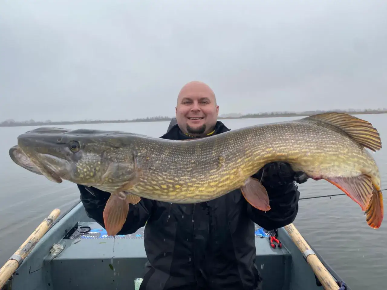 Kiedy sezon na szczupaka? Sprawdź daty i ważne przepisy
