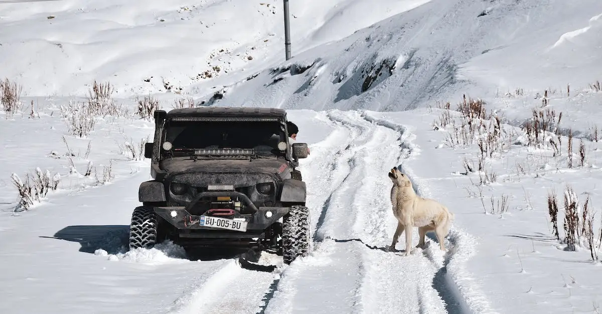  Opony zimowe i letnie - kiedy wymieniać i jak przeprowadzić procedurę?