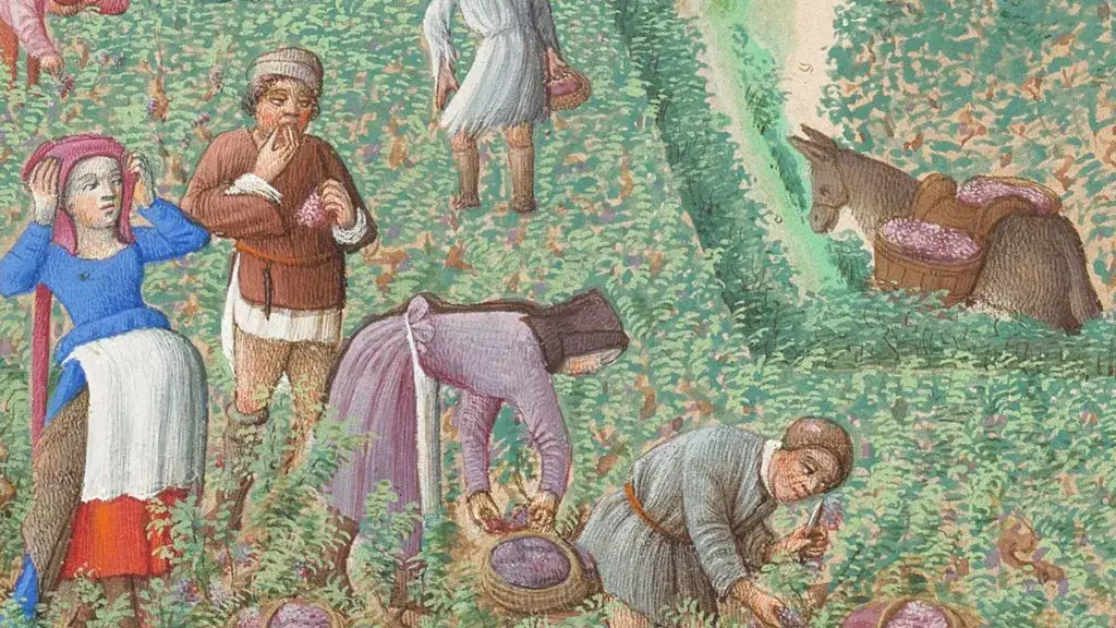 Skąd się wzięła nazwa średniowiecze? Odkryj jej fascynującą historię