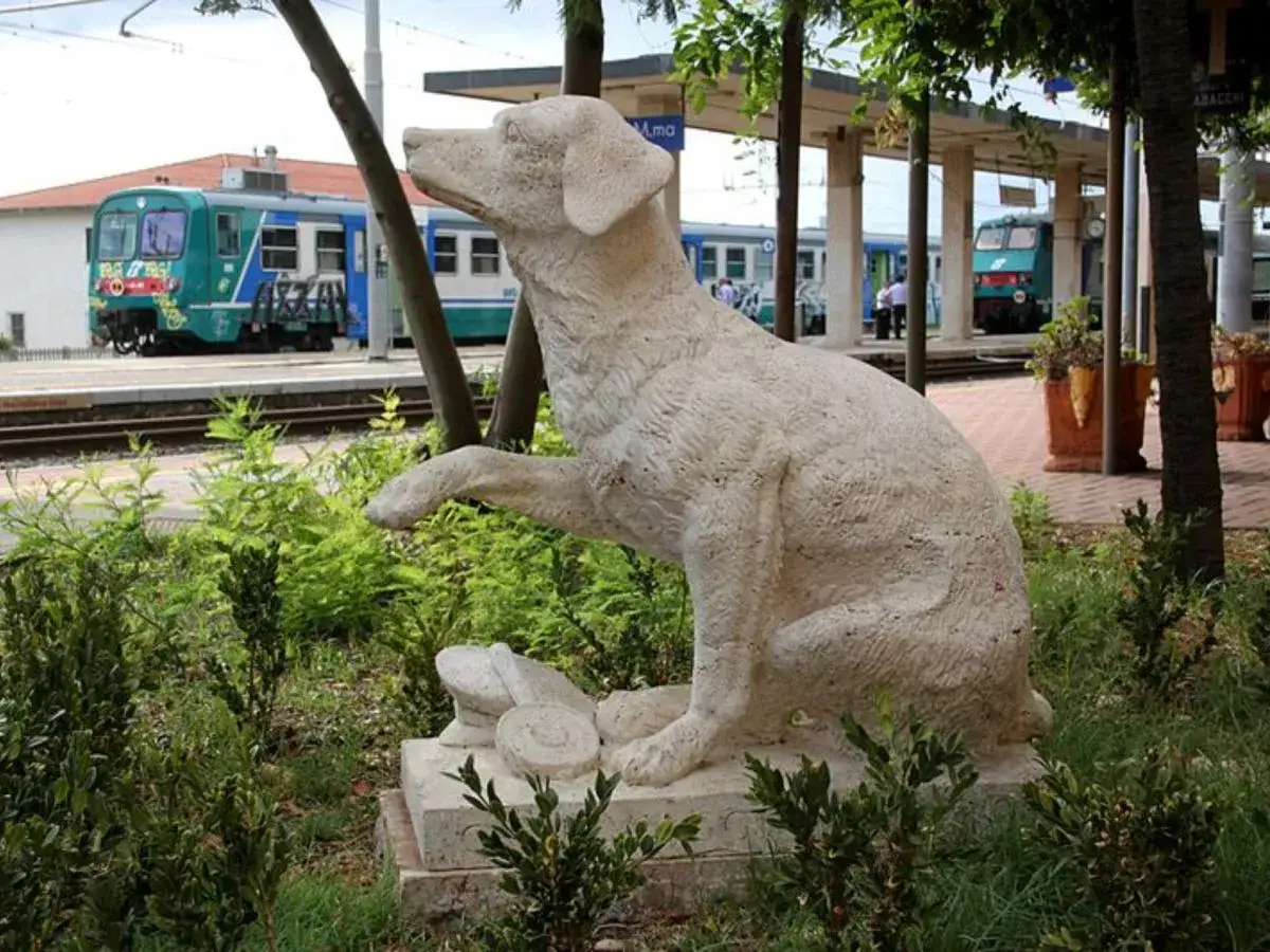 O psie, który jeździł koleją: Prawdziwa historia, wzruszająca lekcja