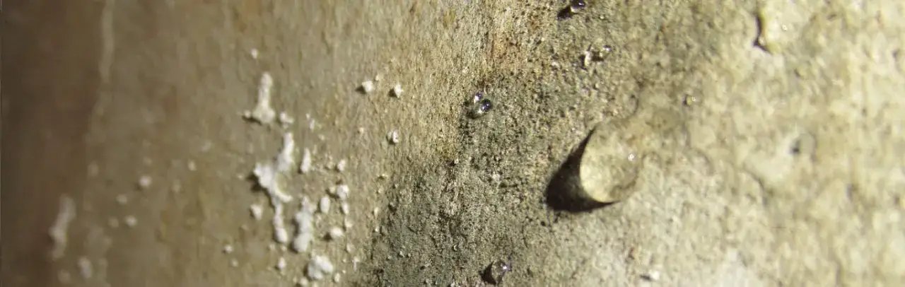 Mokra ściana wewnętrzna co zrobić: skuteczne sposoby na wilgoć