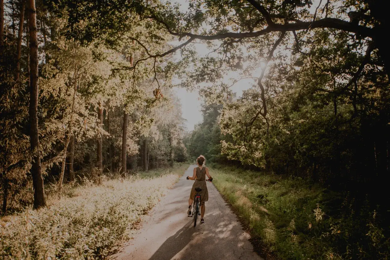 Wiślana trasa rowerowa Kraków Niepołomice - piękne widoki i atrakcje
