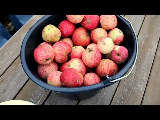 Jak pasteryzować sok z jabłek - proste kroki, aby uniknąć zepsucia