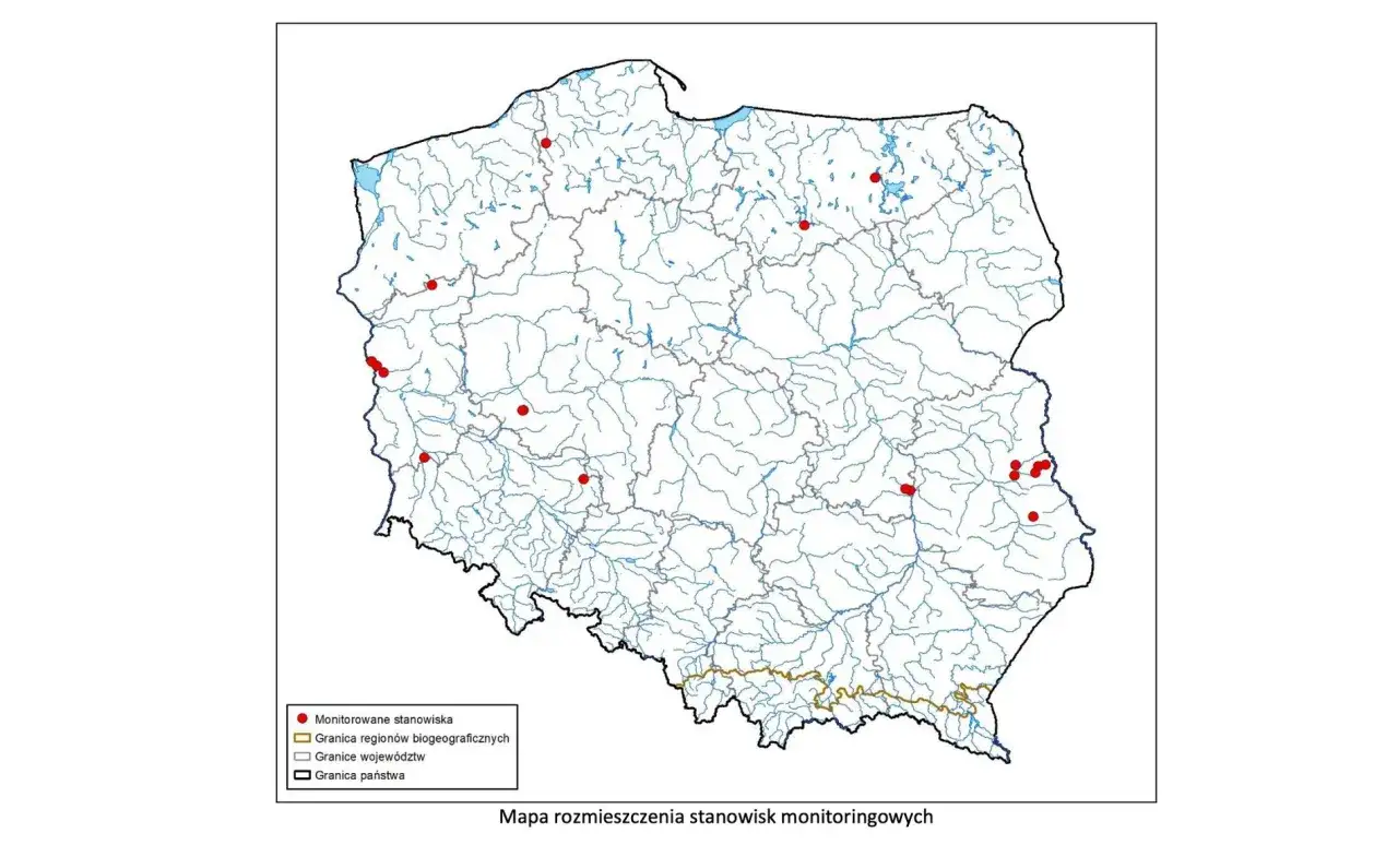 Żółw błotny: Gdzie żyje jedyny żółw w Polsce? Mapa siedlisk