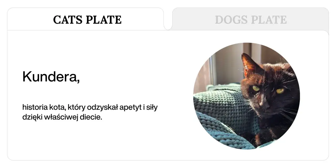 Naleśniki dla kota: Tak czy nie? Poznaj prawdę o zdrowiu!