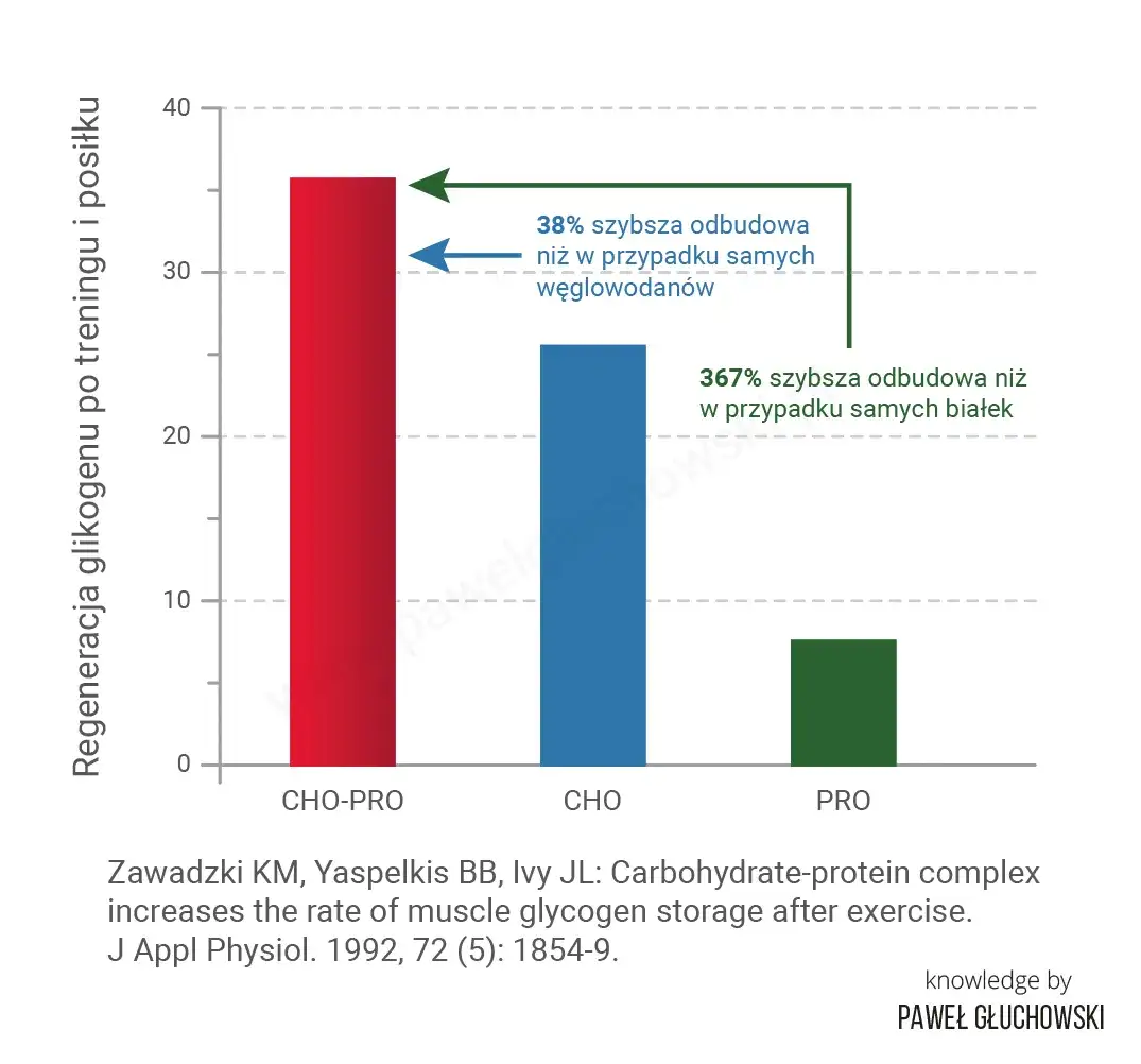 Ile białka po treningu? Ekspert radzi: dawki, okno i źródła