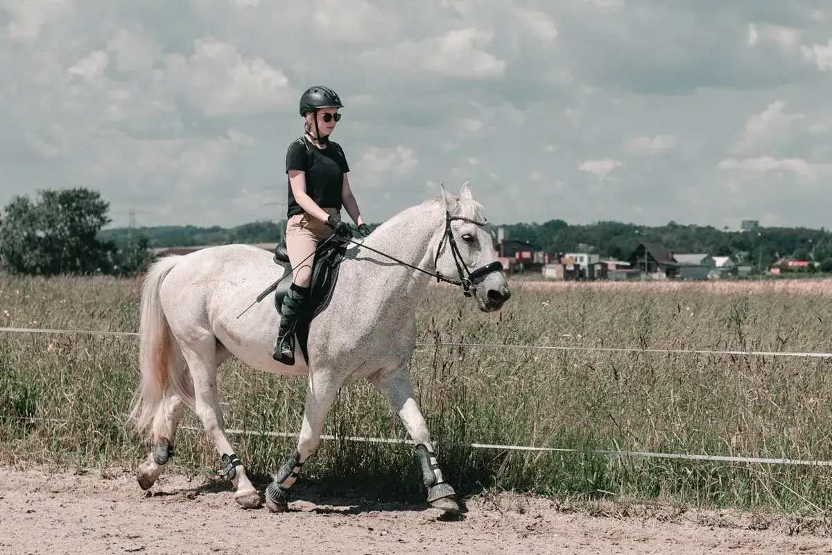 Jazda konna, różne chody konia. Kobieta w kasku i bryczesach na siwym koniu, w tle pole i zabudowania.