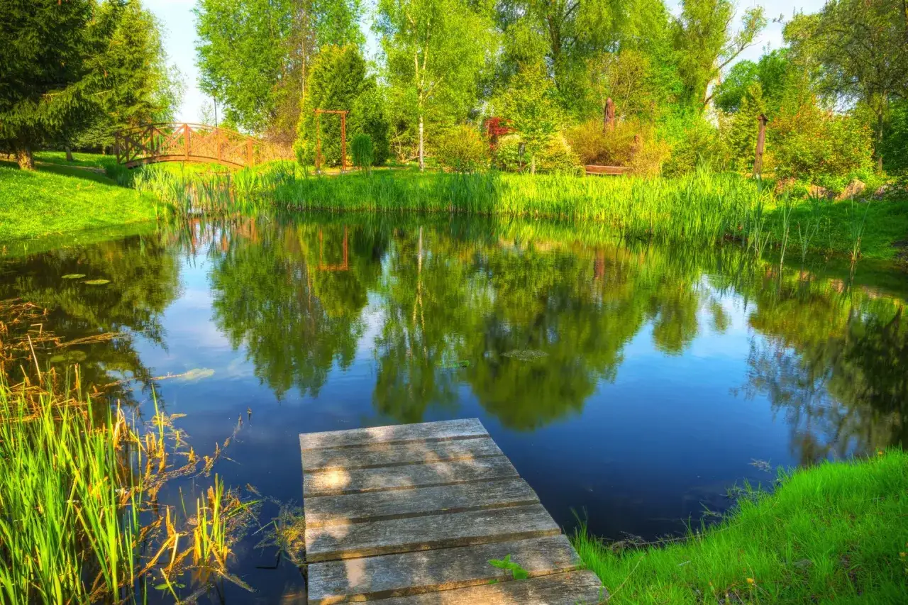 Jak zrobić staw w ogrodzie - uniknij najczęstszych błędów i kosztów