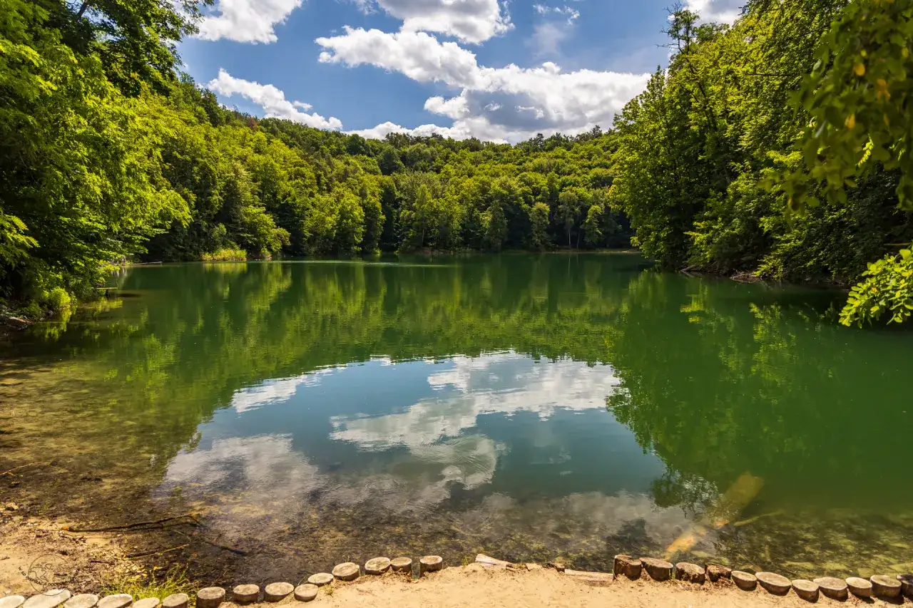 Z czego słynie Szczecin? TOP atrakcje, smaki i zielone płuca