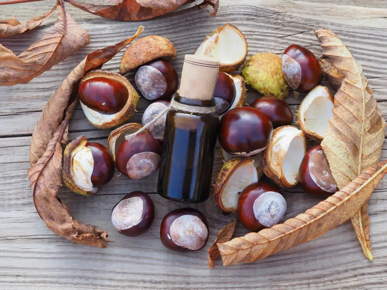 Jak zrobić strój kasztana dla dziecka - łatwe i kreatywne pomysły