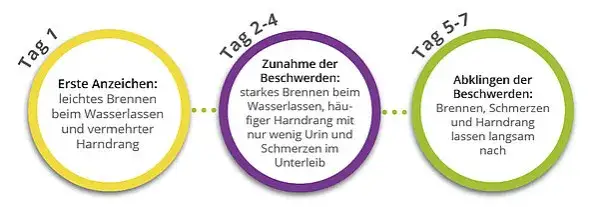 Symptome Zystitis: Erkennen Sie die Warnsignale rechtzeitig