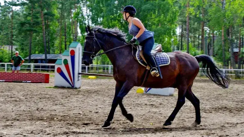 Ośrodek wypoczynkowy i stadnina koni Kaszubski Bór – idealne miejsce na relaks i przygodę
