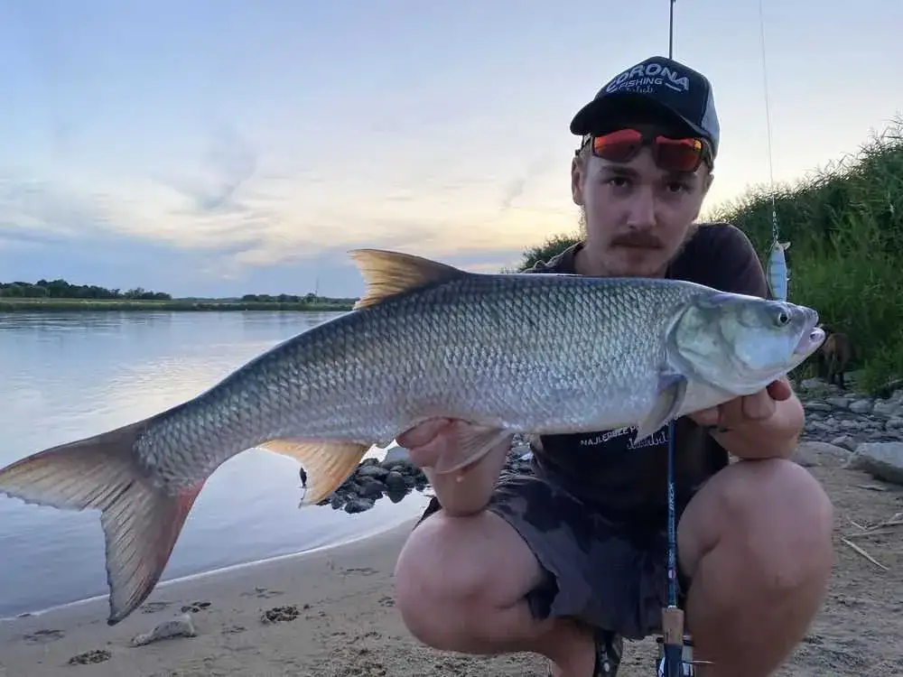Najlepsze jeziora wędkarskie w Polsce: gdzie złowisz największe ryby