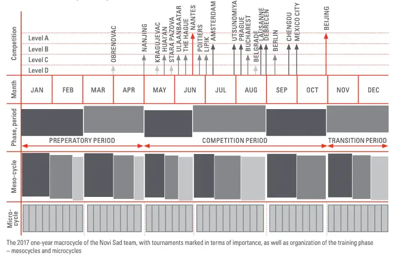 Kompleksowy roczny plan treningowy w koszykówce: od A do Z