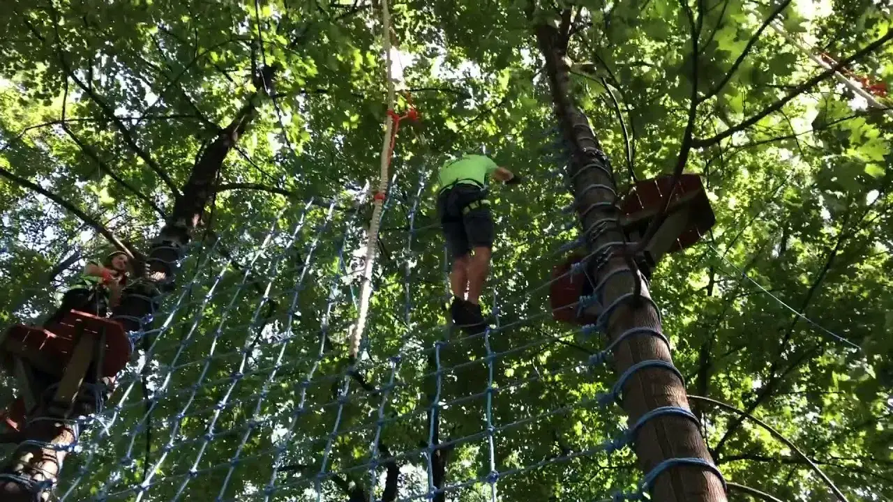 Park linowy Goczałkowice - atrakcje, trasy i godziny otwarcia