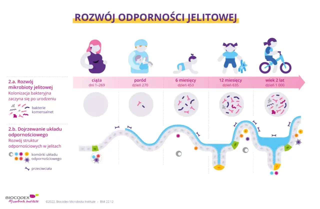 Neutrofile w ciąży: Kiedy norma, a kiedy sygnał alarmowy?