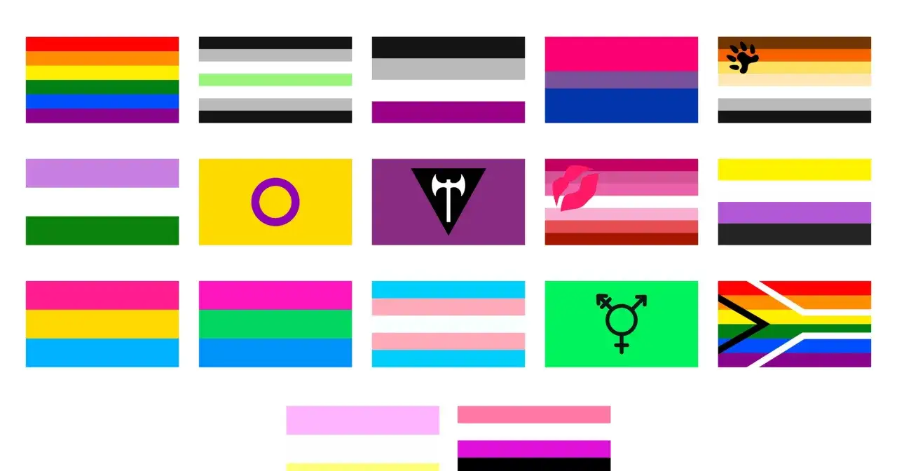 Kolekcja flag tęczowych i innych symbolizujących różnorodność płciową i seksualną. Widać, jak wygląda flaga gejów, panseksualna, transpłciowa i inne.
