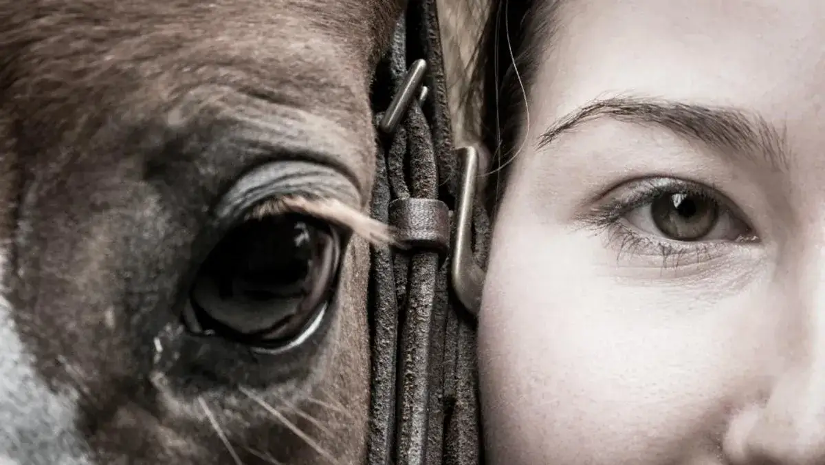 Człowiek na koniu: Historia relacji, która zmieniła świat