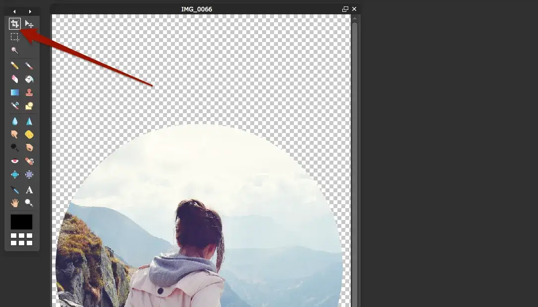 Jak zrobić zdjęcie bez tła w prosty sposób i uzyskać świetne efekty