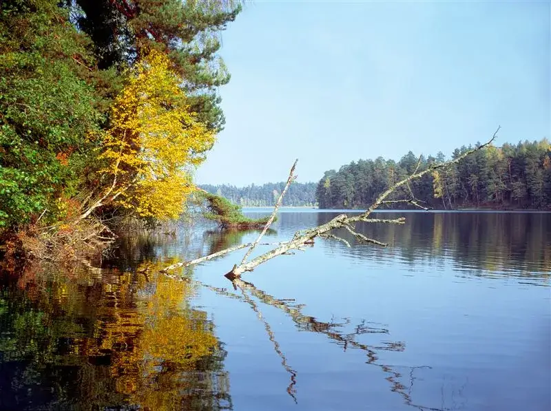 Jezioro Długie Augustowskie: Odkryj jego niezwykłe piękno i faunę