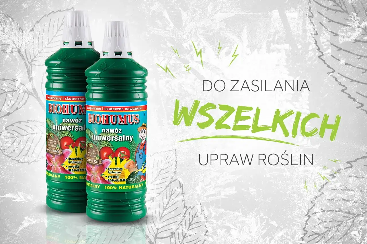 Dwie butelki Biohumusu, uniwersalnego nawozu. Kiedy stosować? Do zasilania wszelkich upraw roślin, 100% naturalny.